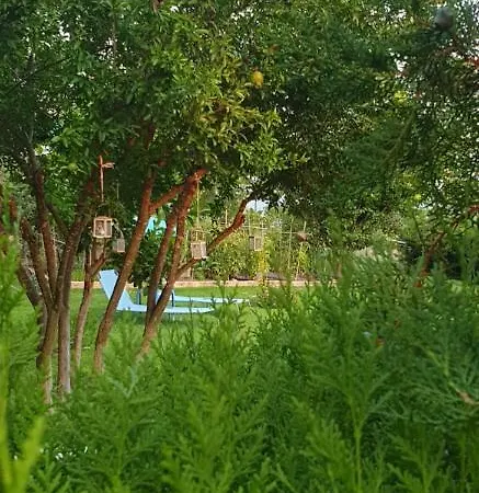 Maria's Luxury דירה קסנדריה